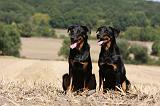 BEAUCERON 744